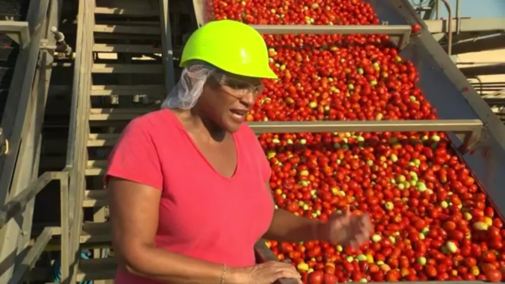 TOMATO FARMERS GETTING SQUEEZED BY DROUGHT