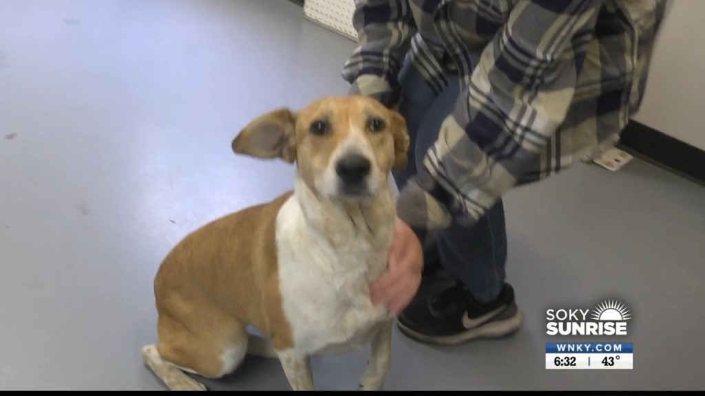 Pet Of The Day 101122