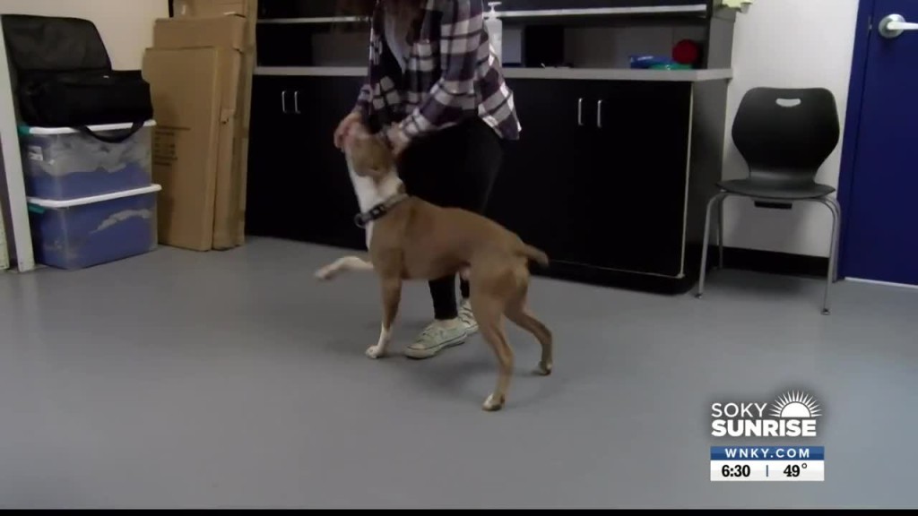 Pet Of The Day 10 24