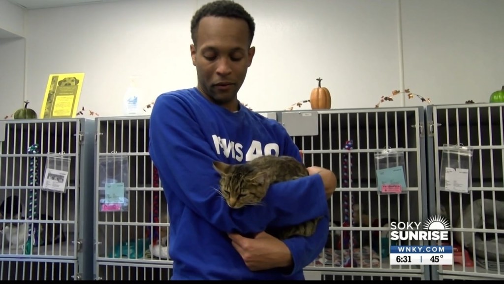 Pet Of The Day 10 28