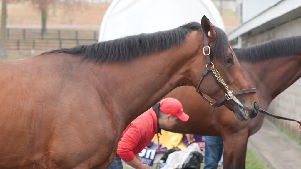 Epicenter In Breeders Cup00 00 51 26still001
