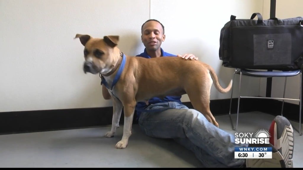 Pet Of The Day 11 18 22