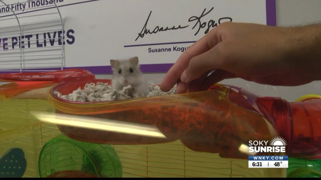Pet Of The Day 11 9 22