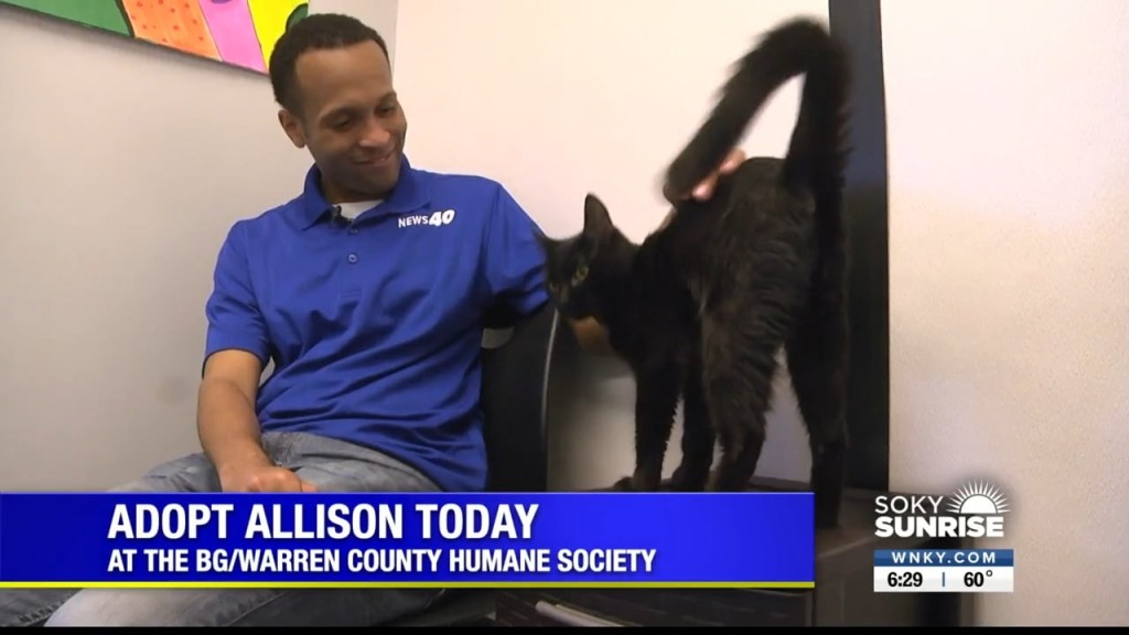 Pet Of The Day 11 11 22