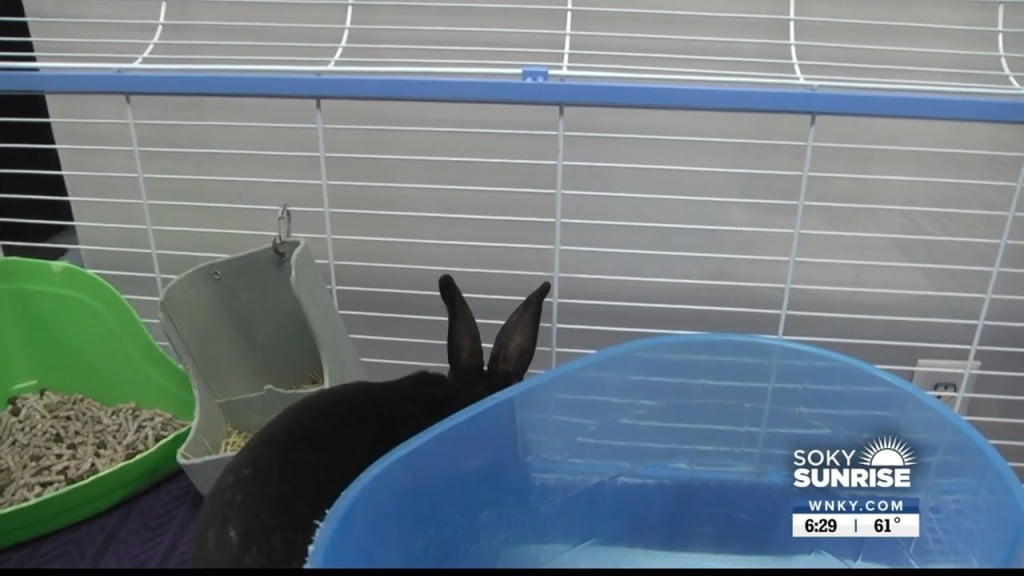 Pet Of The Day 11 8 22