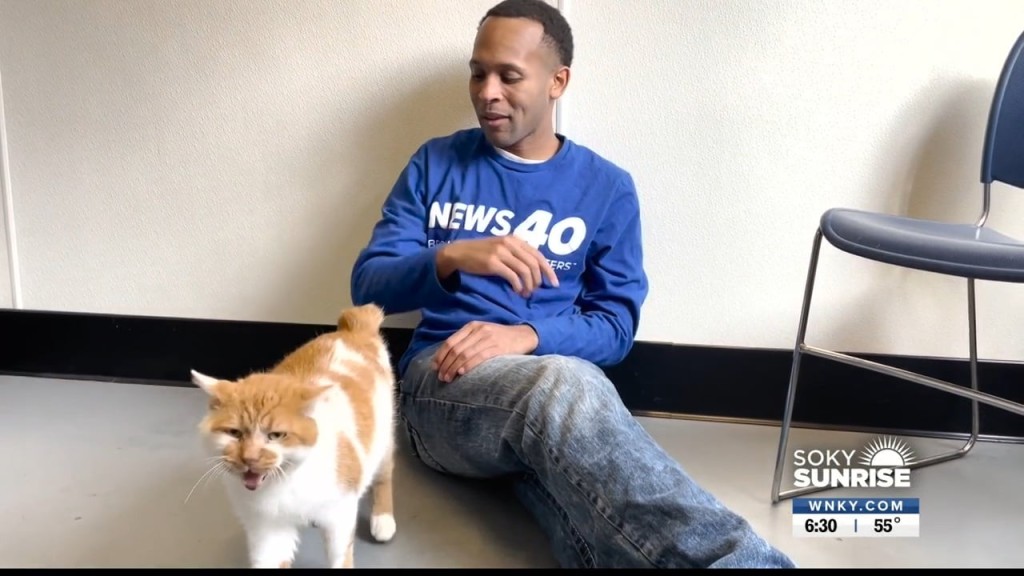 Pet Of The Day 11 2 22