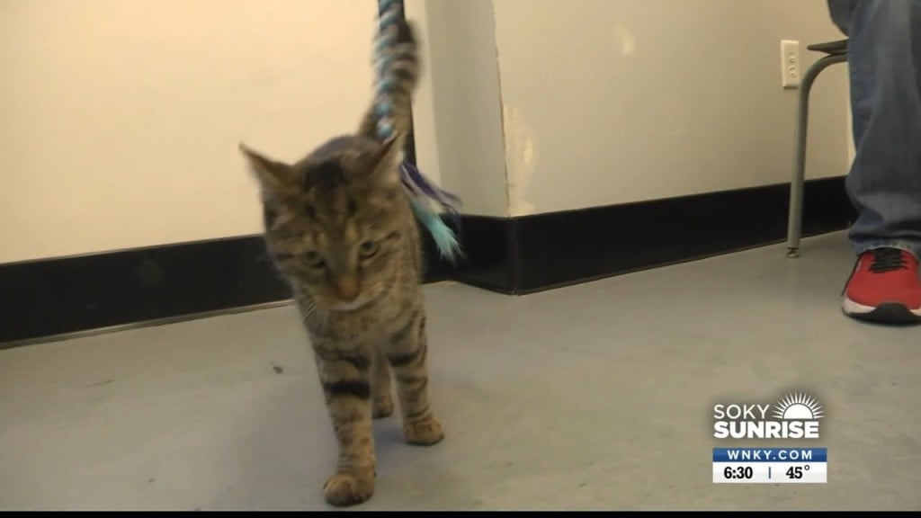 Pet Of The Day 11 10 22