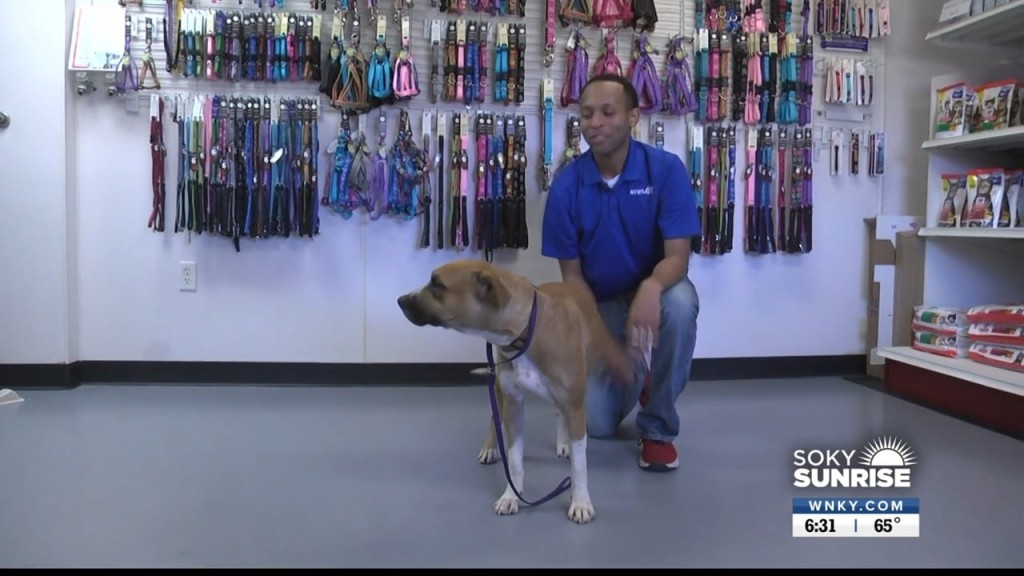 Pet Of The Day 11 7 22