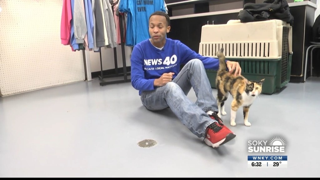 Pet Of The Day 11 22 22