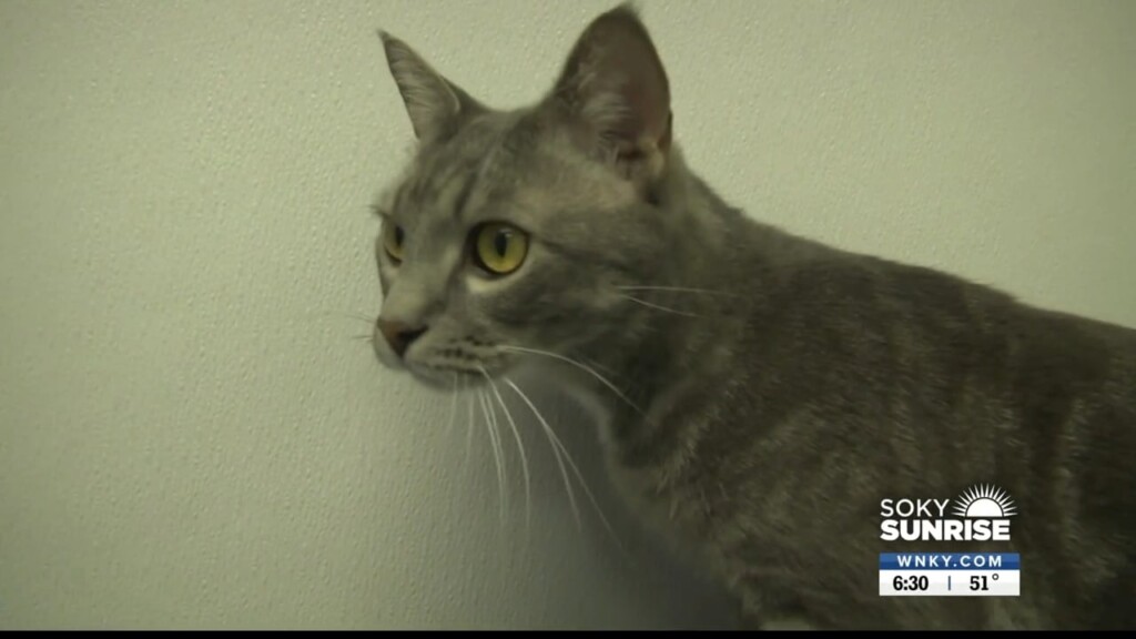 Pet Of The Day, 122922