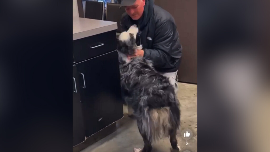 Tuffy Home Pkg00 02 14 09still002