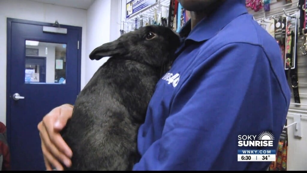 Pet Of The Day 12 13 22