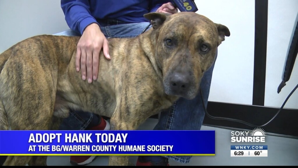 Pet Of The Day, Hank 123022