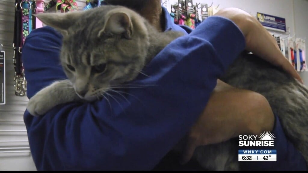 Pet Of The Day 12 15 22