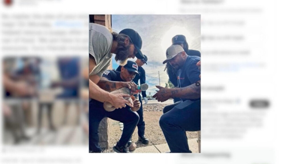 Phoenix firefighters help free puppy from food can – WNKY News 40 Television