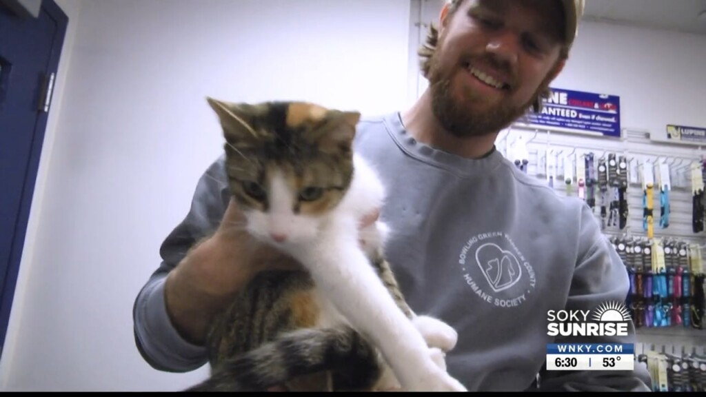 Pet Of The Day 12 14 22