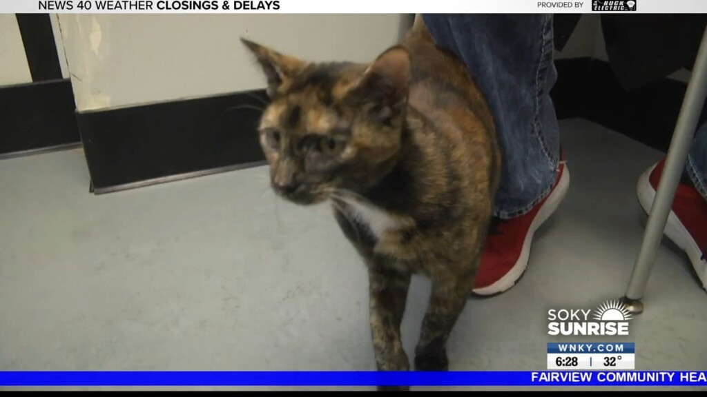 Pet Of The Day, 122722