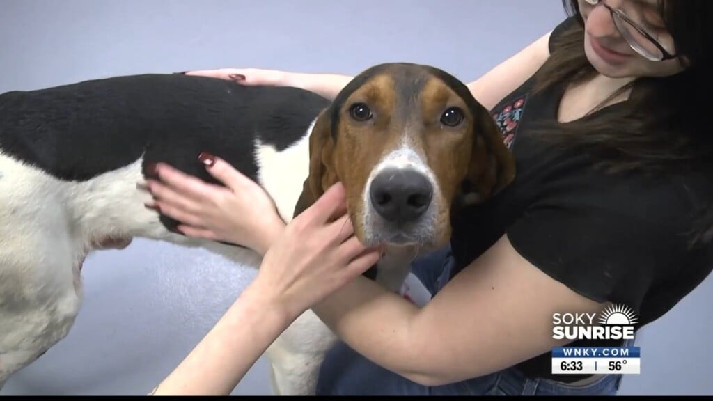 Pet Of The Day, Tracker. 011923