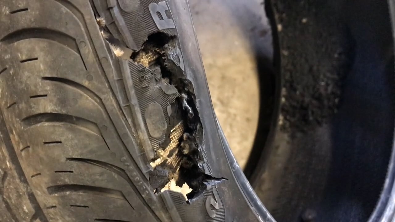 Year round Threat Potholes Damage Cars And Wallets WNKY News 40 year-round-threat-potholes-damage-cars-and-wallets-wnky-news-40