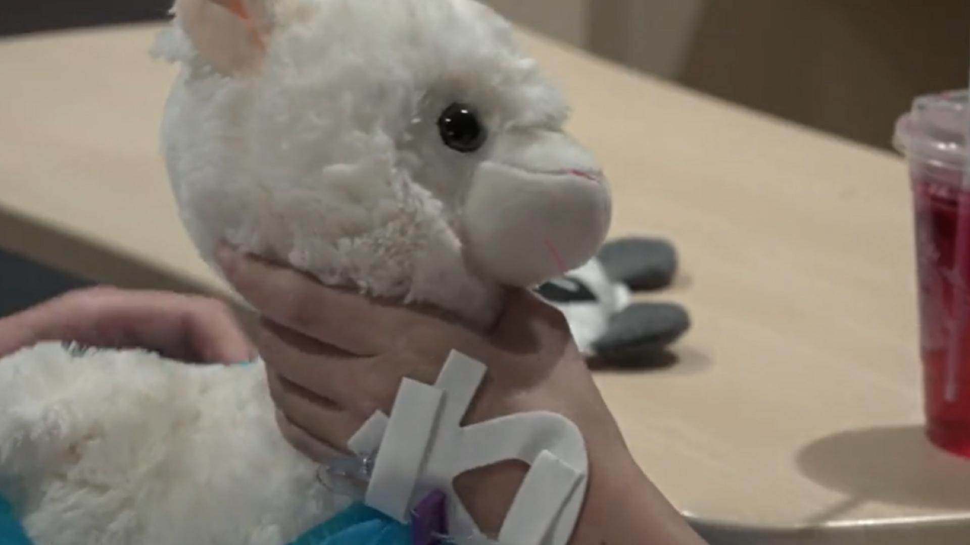 Special Valentine’s Day Surprise For Children’s Hospital Of Richmond