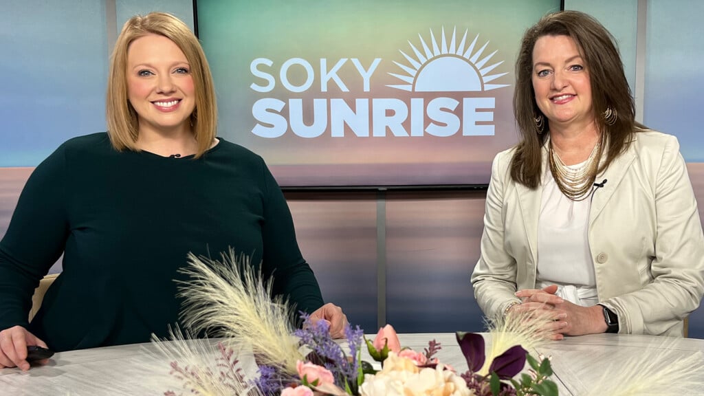 Soky Spotlight 22023