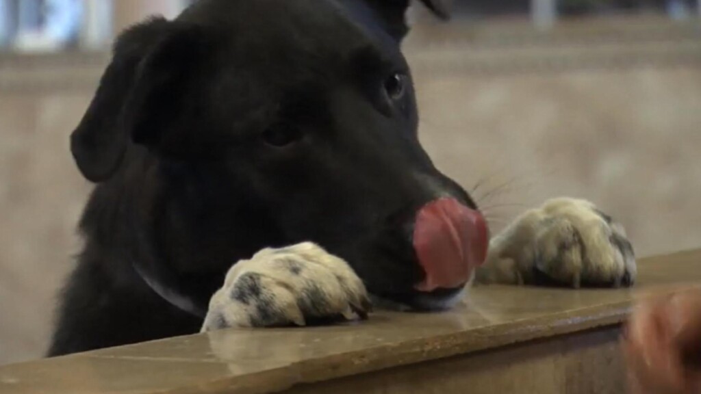 Photo Resize 2023 02 08t154625567