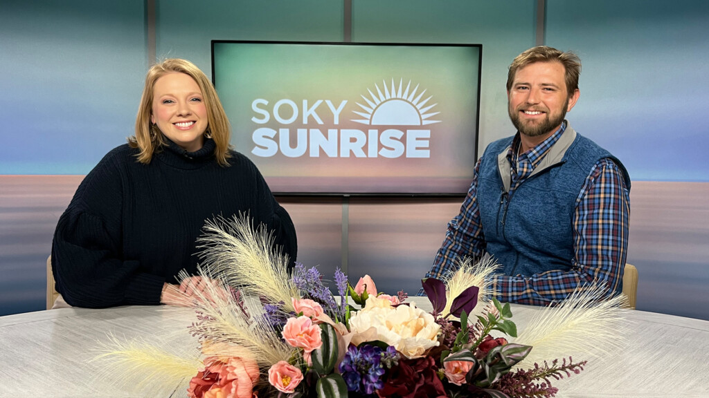 Soky Spotlight 30823