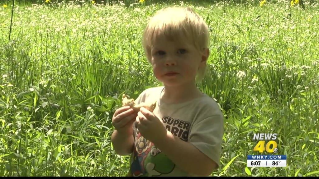 Earth Week Lost River Cave Pkg