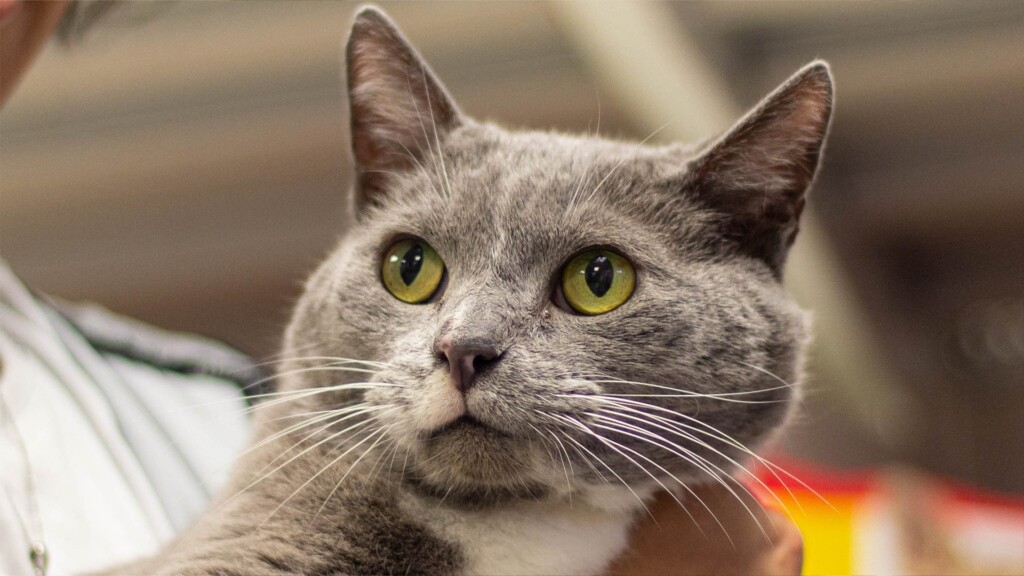 Pet Of The Day 4.11.23