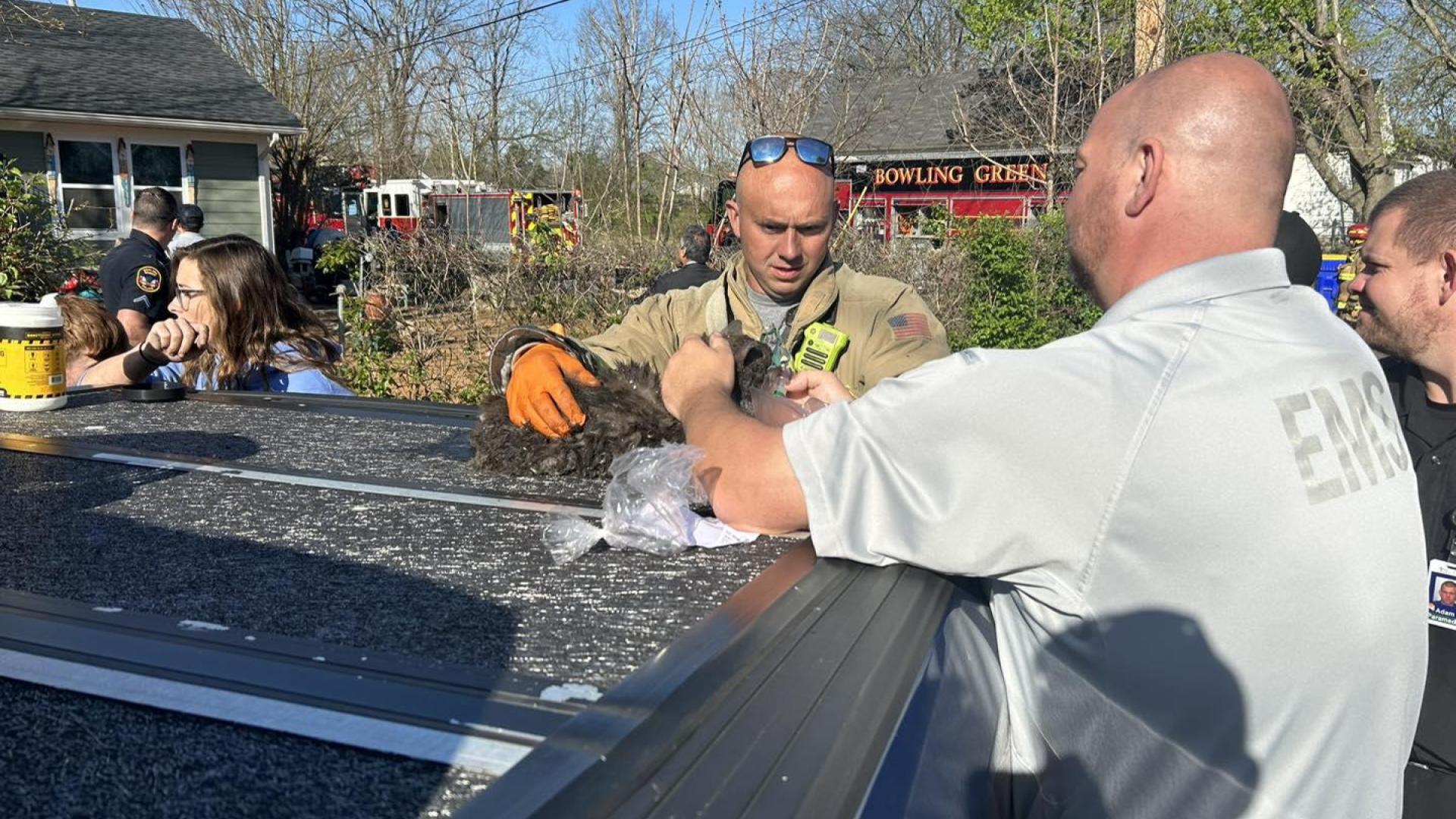 Update on surviving animals, house fire that killed 70 pets - WNKY News ...