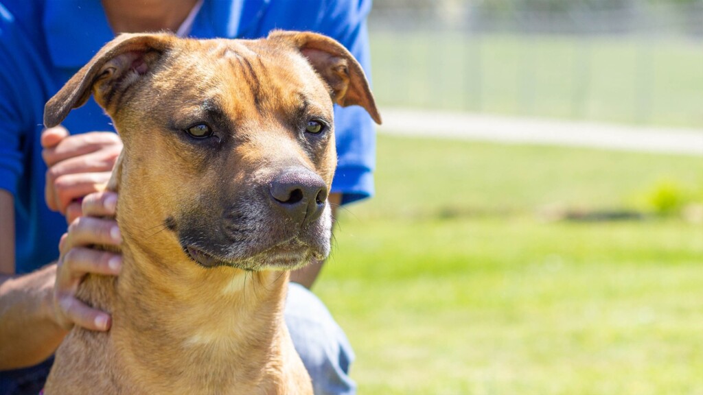 Pet Of The Day 4.27.23