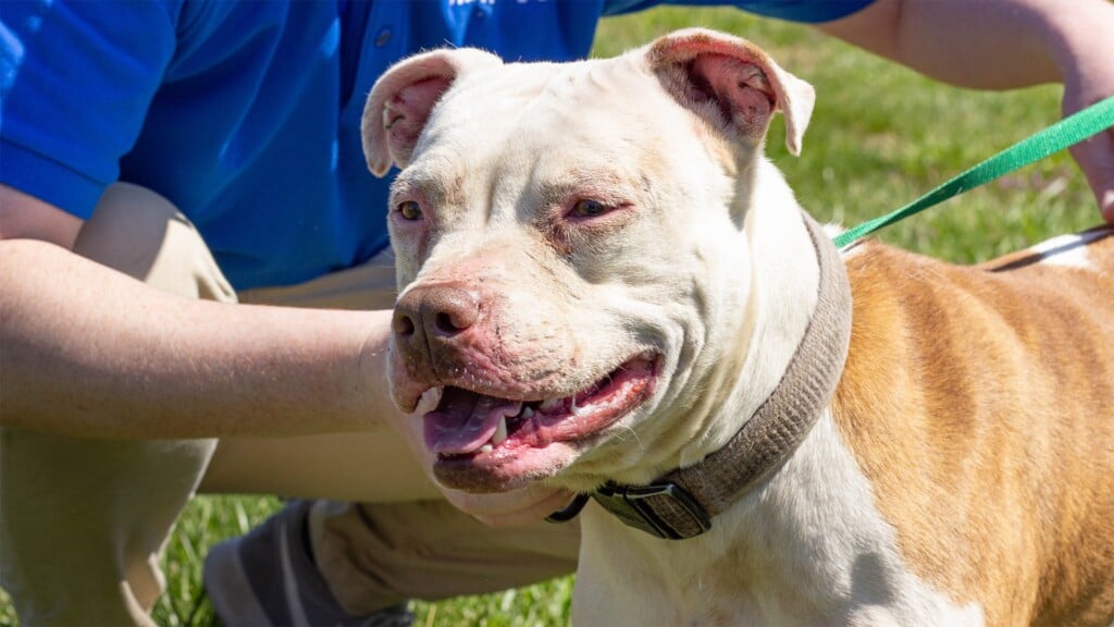 Pet Of The Day 4.6.23