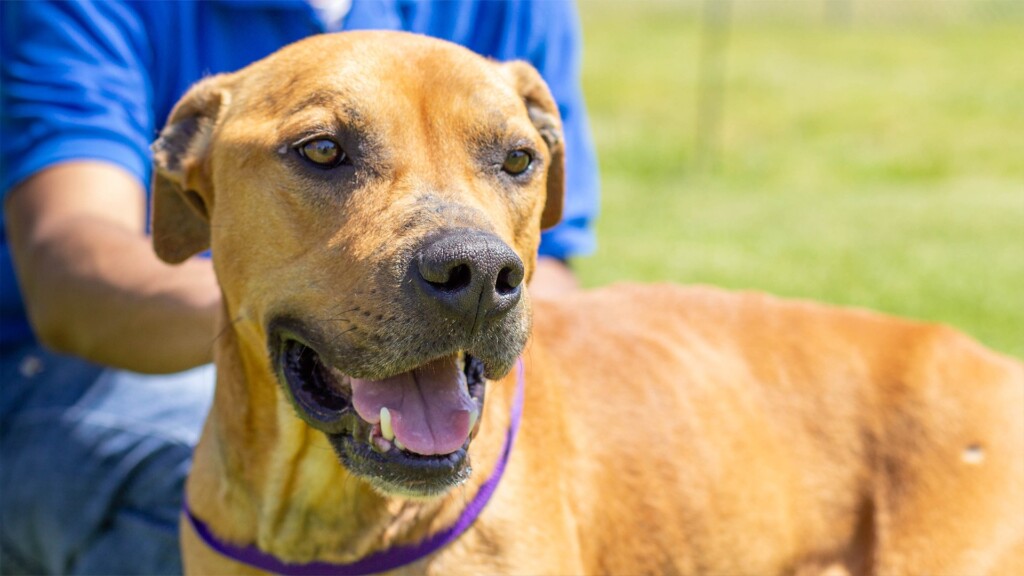 Pet Of The Day 042623