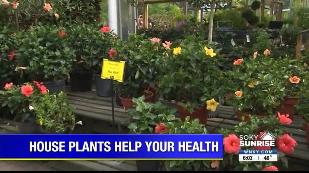 Health Minute 4.17.23