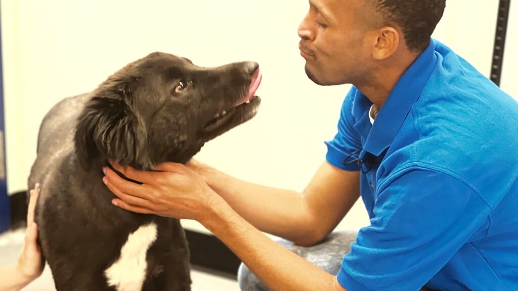 Pet Of The Day