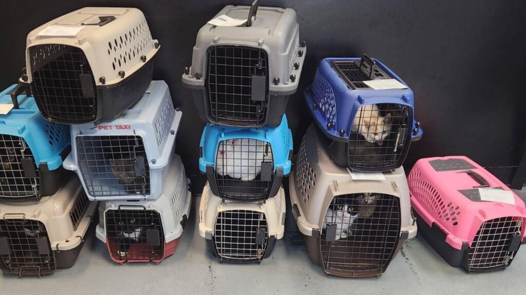 Photo Resize 2023 07 03t154548876