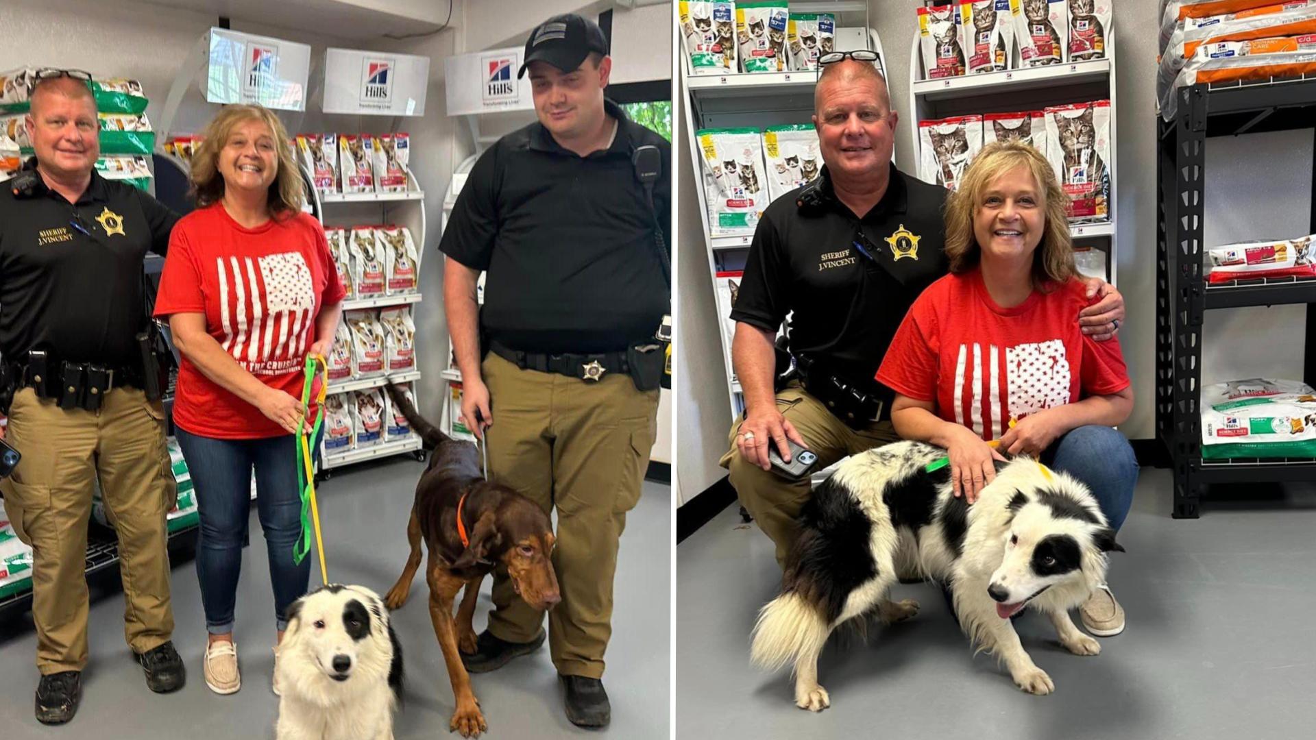 UPDATE Edmonson County Sheriff's Office rescues dogs during code red