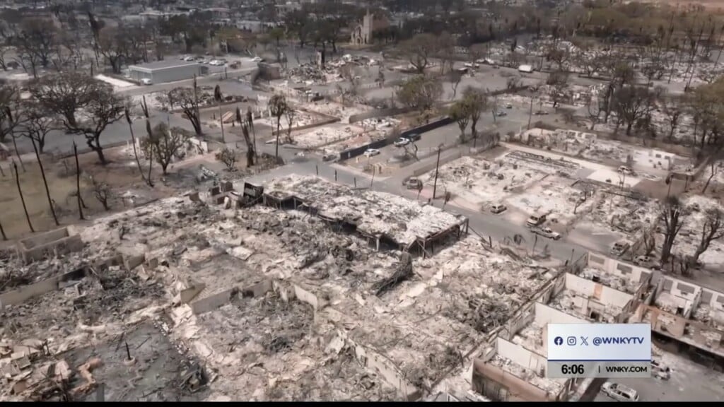 Avoiding Scams When Donating To Victims Of The Hawaii Wildfires