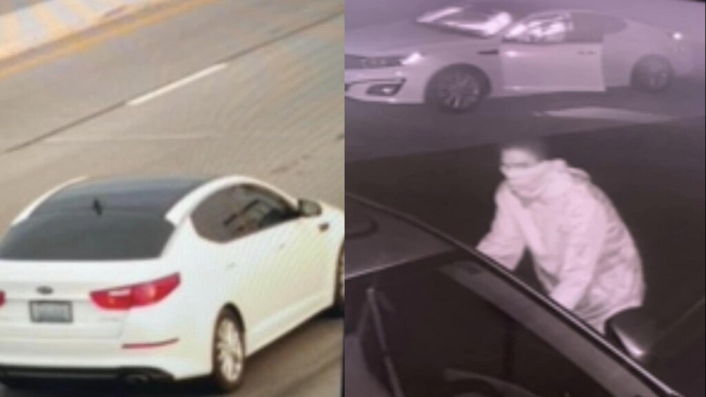 Photo Resize 2023 08 11t123504333