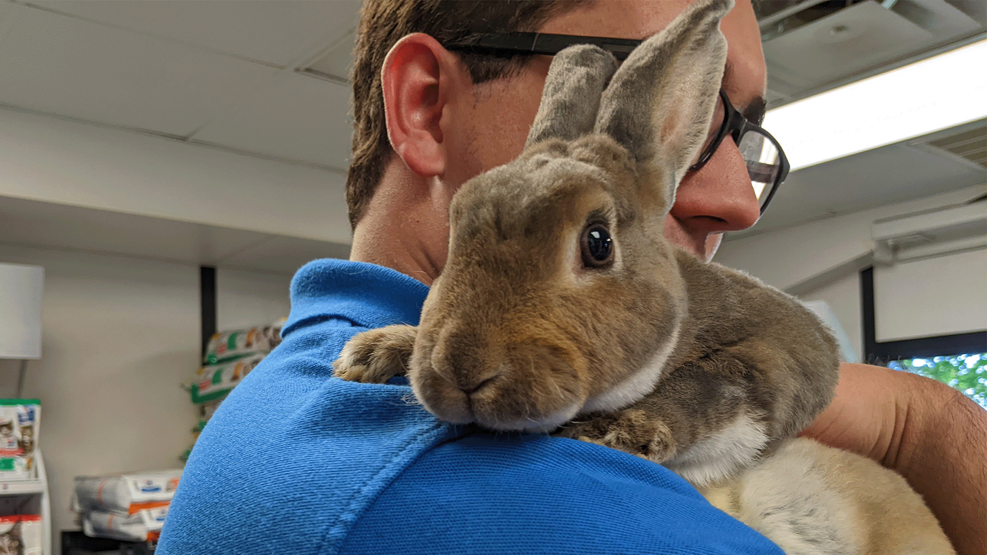 PET OF THE DAY Cricket WNKY News 40 Television