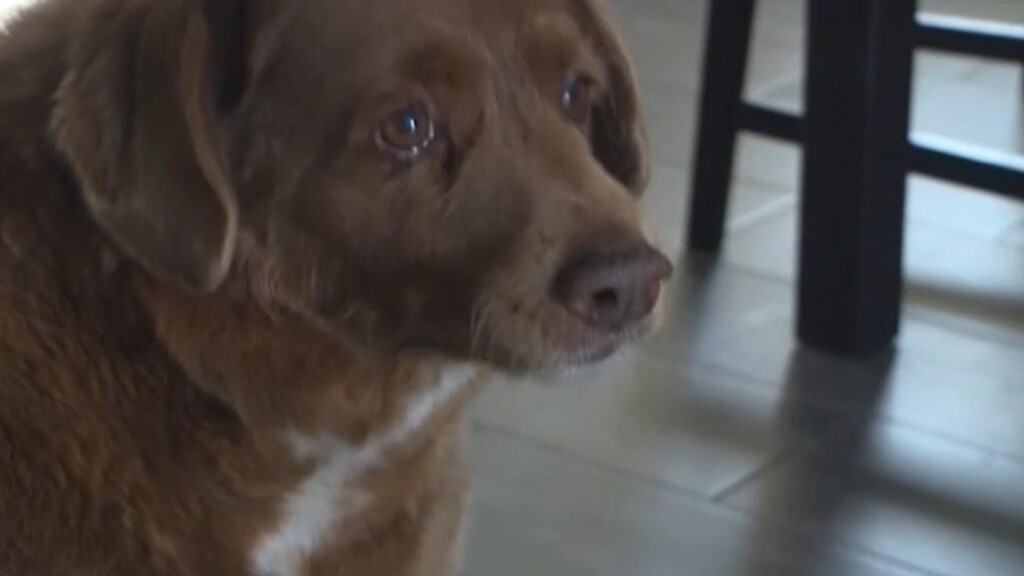 Photo Resize 2023 10 24t110938752