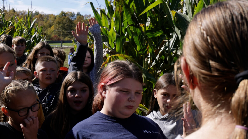 Mchscornmaze Pkg00 00 43 21still001