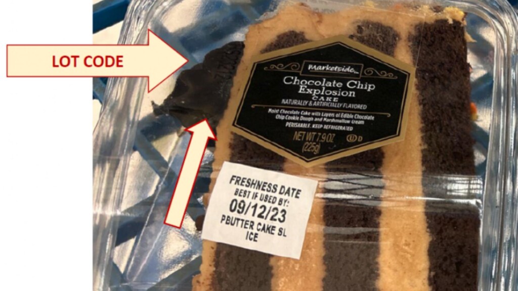 Photo Resize 2023 10 03t152744182