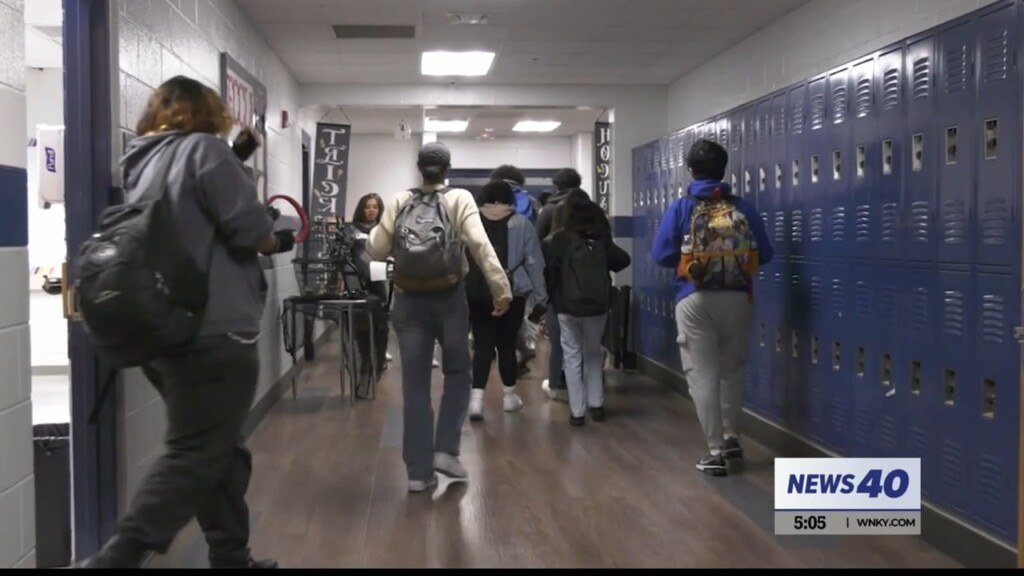 Wcps Diversity Growth Vosot