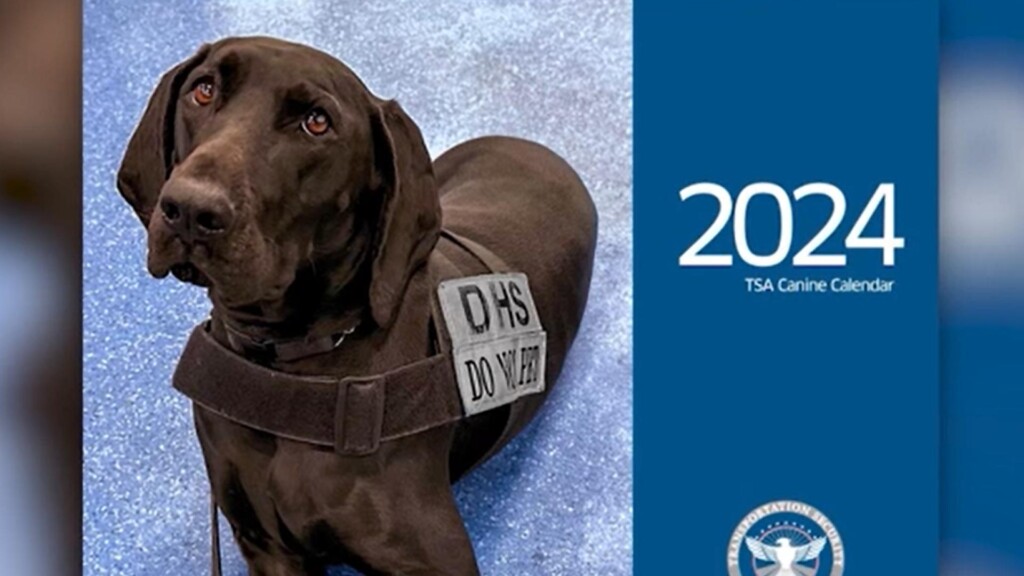 Photo Resize 2023 11 28t163552812