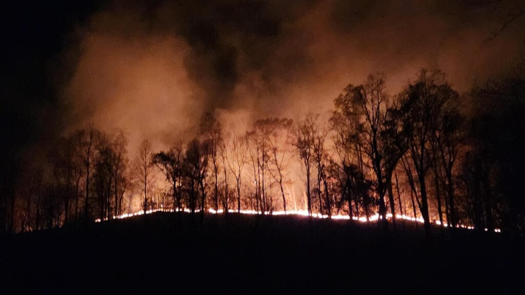 wildfire kentucky