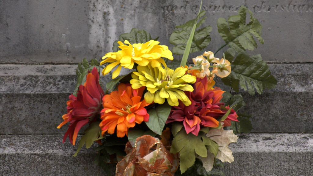 Veteransaffairs Pkg00 00 08 04still001