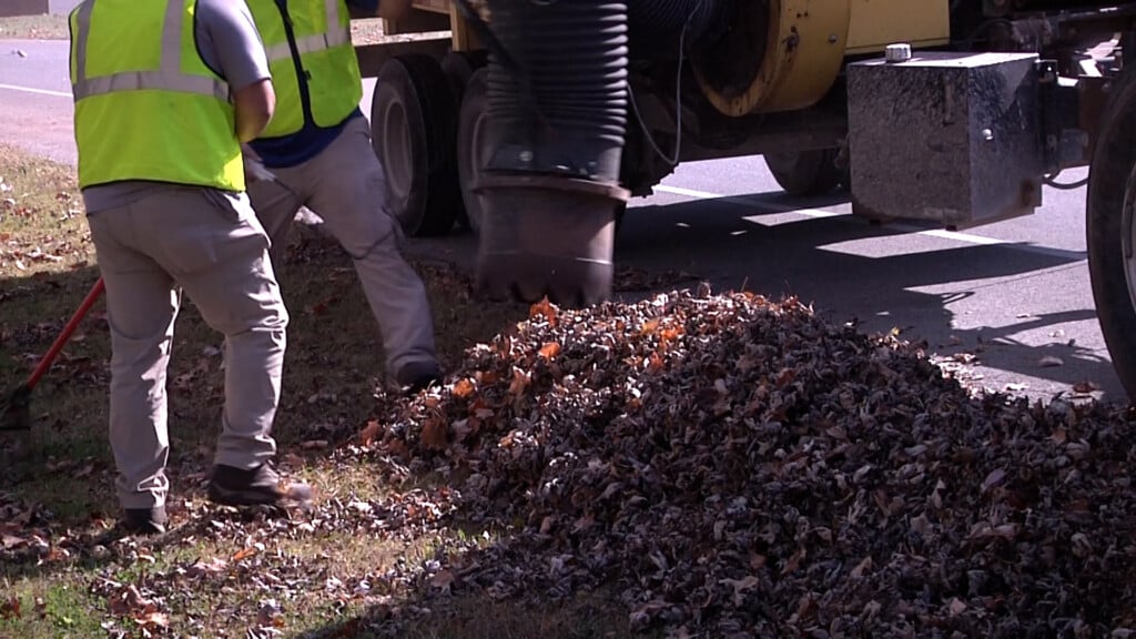 Leaf Pick Up Pkg00 00 09 26still001