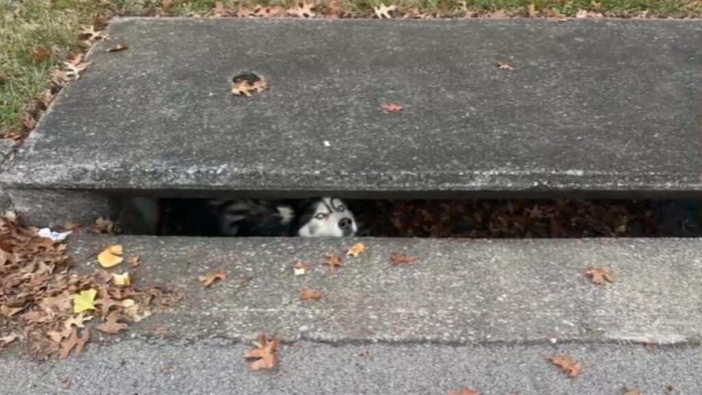 Photo Resize 2023 11 28t105549124