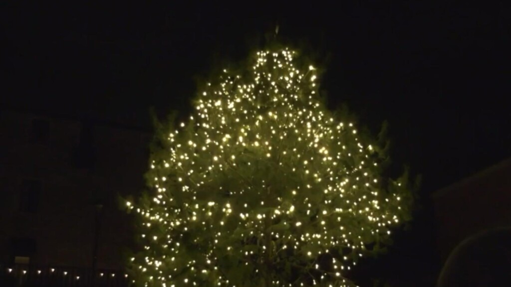 skypac community christmas tree